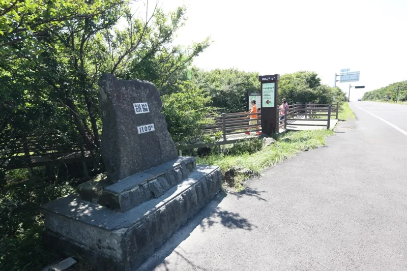 1100고지습지