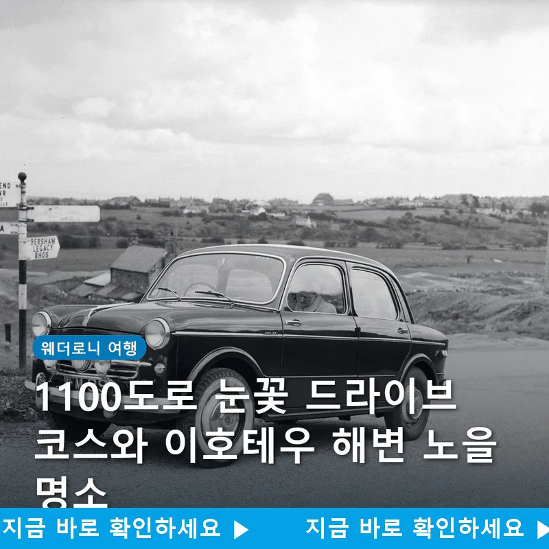 1100도로 눈꽃 드라이브 코스와 이호테우 해변 노을 명소