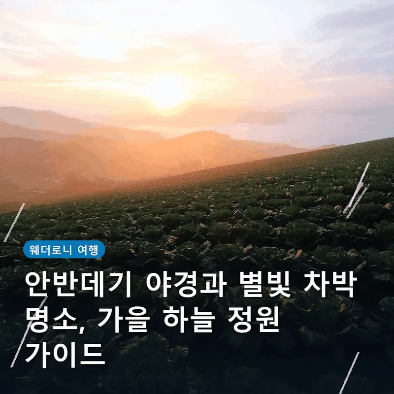 안반데기 야경과 별빛 차박 명소, 가을 하늘 정원 가이드