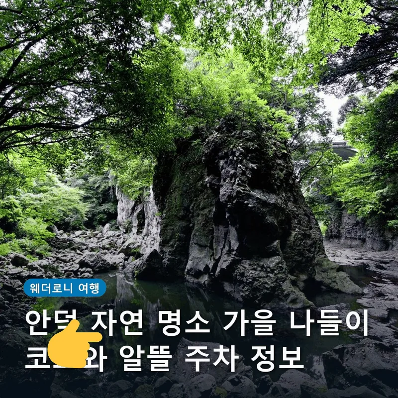 안덕 자연 명소 가을 나들이 코스와 알뜰 주차 정보