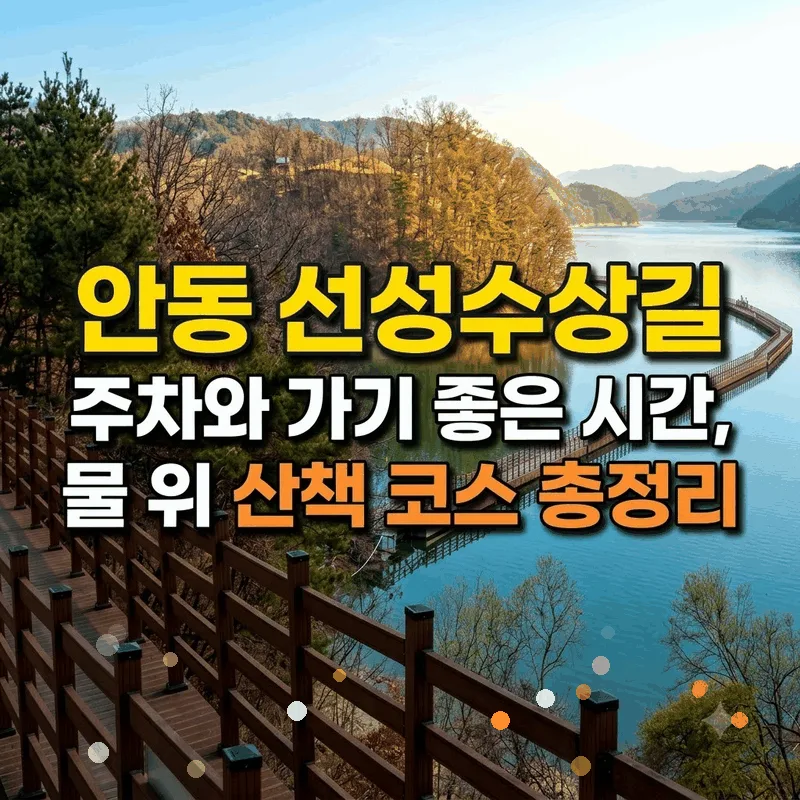 안동 선성수상길 주차와 가기 좋은 시간, 물 위 산책 코스 총정리