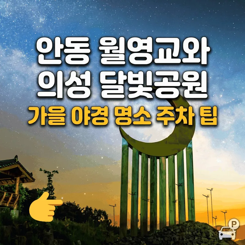 안동 월영교와 의성 달빛공원 가을 야경 명소 주차 팁