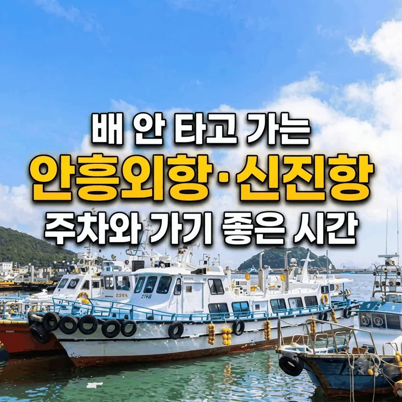 배 안 타고 가는 안흥외항 신진항 주차와 가기 좋은 시간
