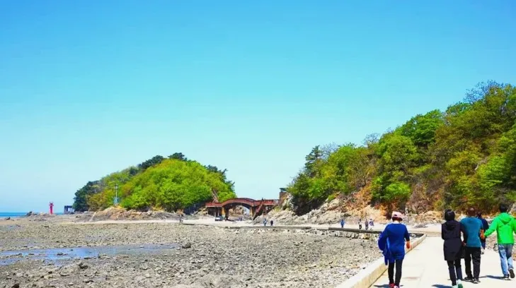 대부해솔길 트레킹 / 사진=경기관광플랫폼