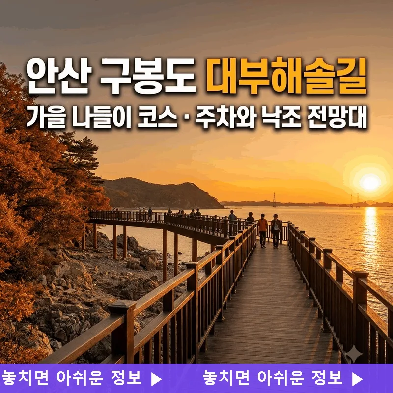 안산 구봉도 대부해솔길 가을 나들이 코스 주차와 낙조 전망대