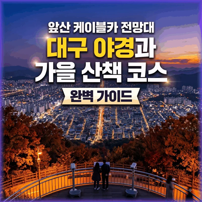 앞산 케이블카 전망대 대구 야경과 가을 산책 코스 완벽 가이드