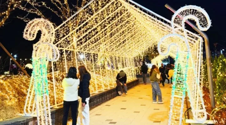 앞산 겨울정원 터널 / 사진=대구 공식 블로그