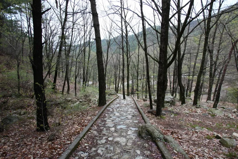 대구앞산공원