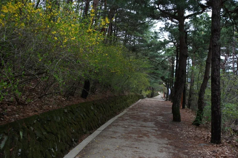 대구앞산공원