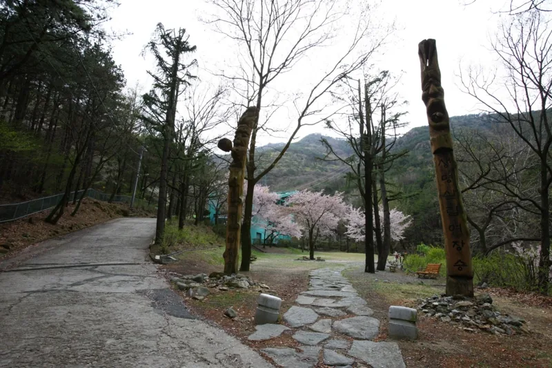 대구앞산공원