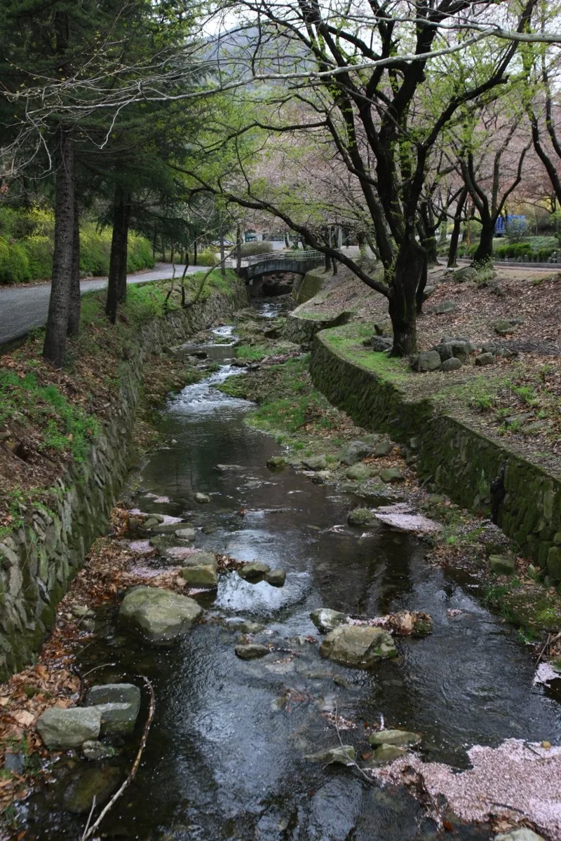 대구앞산공원