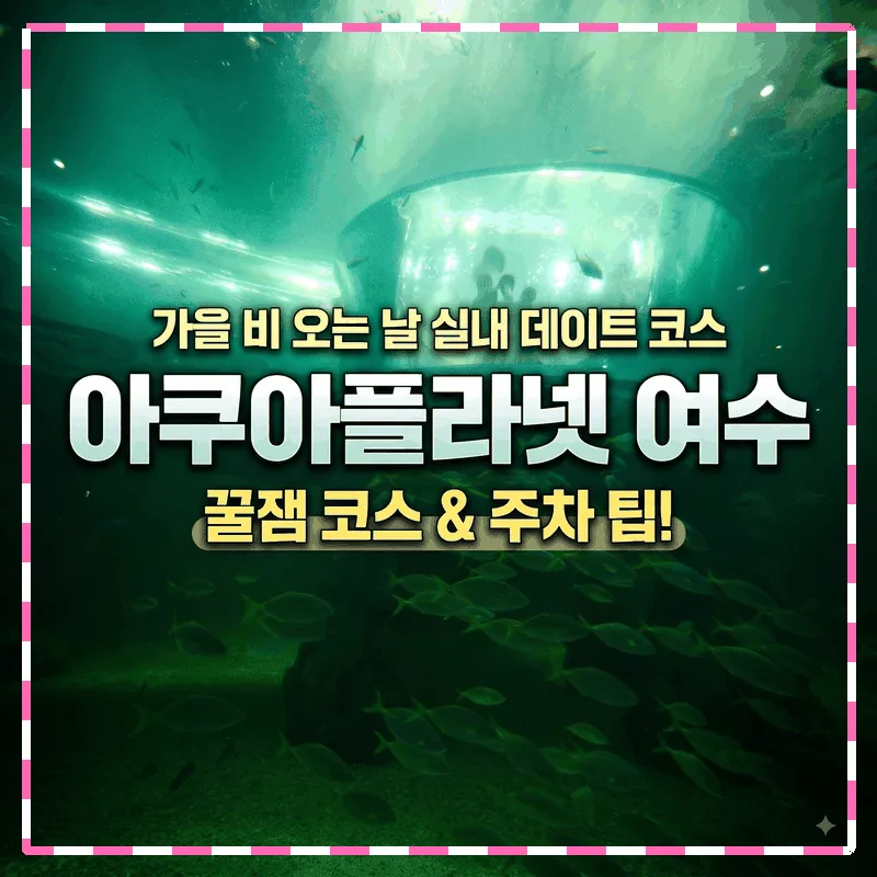 아쿠아플라넷 여수 가을 비 오는 날 실내 데이트 코스 주차 팁