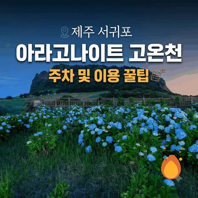 제주 서귀포 아라고나이트 고온천 주차 및 이용 꿀팁