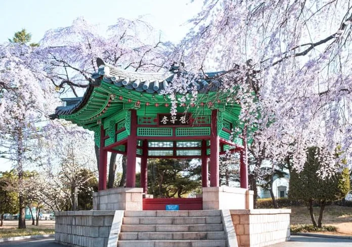 아산 현충사 봄 / 사진=게티이미지뱅크