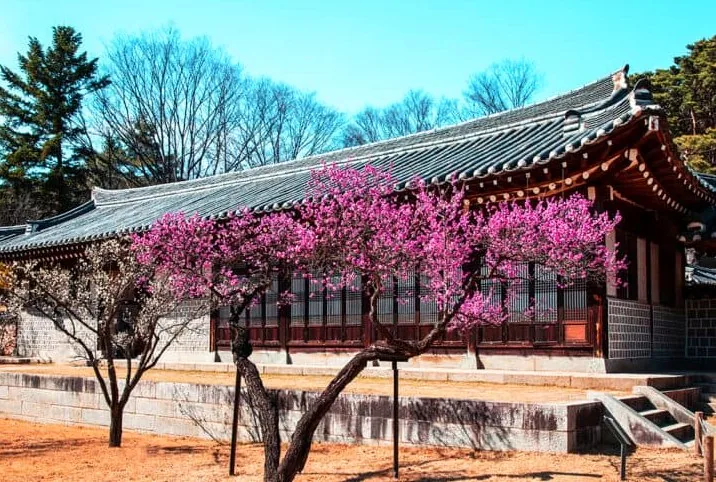 아산 현충사 / 사진=게티이미지뱅크