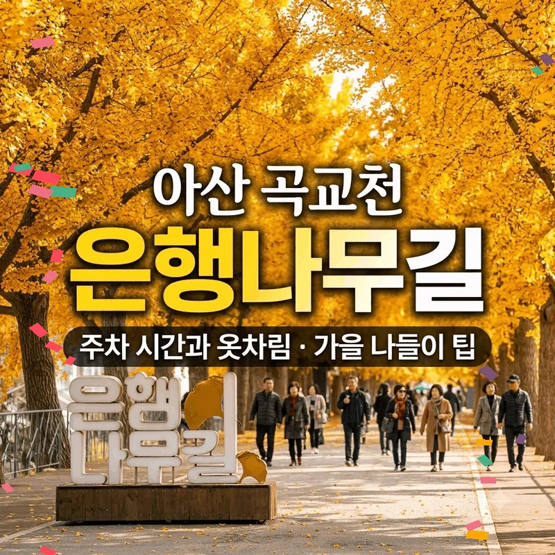 아산 곡교천 은행나무길 주차 시간과 옷차림 가을 나들이 팁