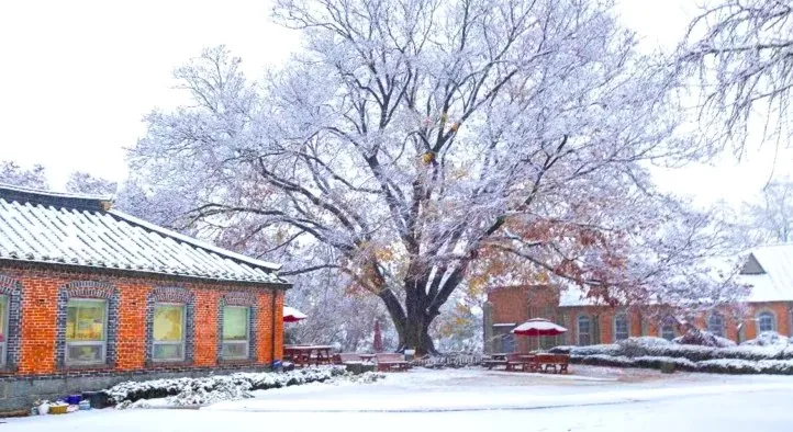 아산 공세리성당 설경 / 사진=충청남도 공식 블로그