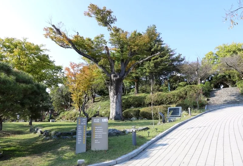 아산 공세리성당 상세이미지8