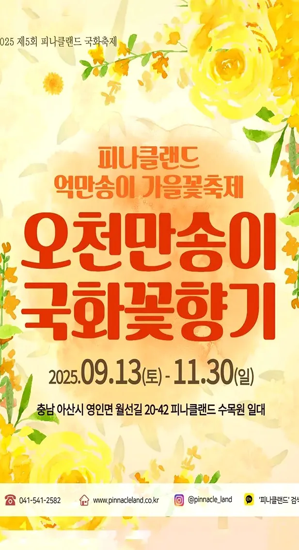 국화꽃향기 축제 포스터 / 사진=피나클랜드 공식 인스타그램