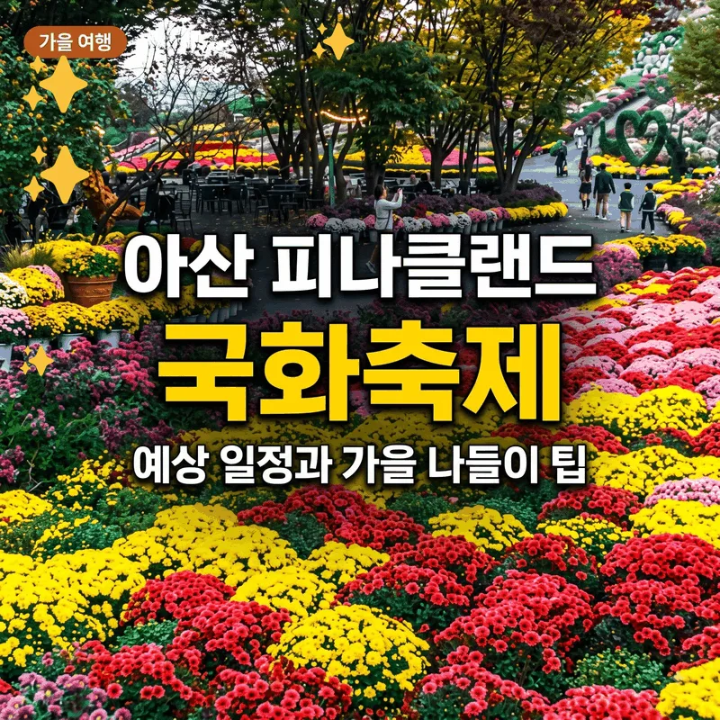 아산 피나클랜드 국화 축제 예상 일정과 가을 나들이 꿀팁