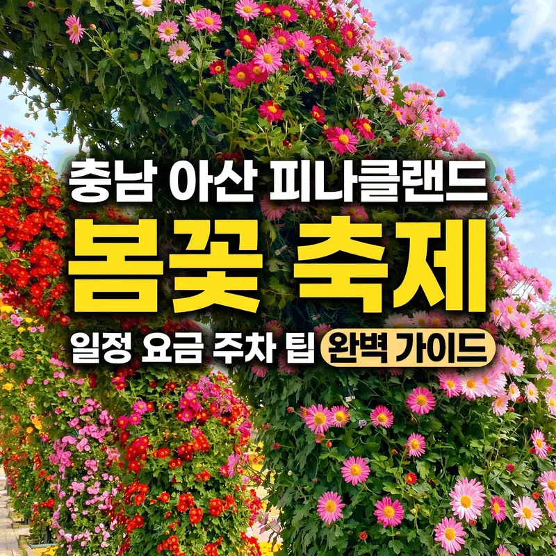 충남 아산 피나클랜드 봄꽃 축제 일정 요금 주차 팁 완벽 가이드