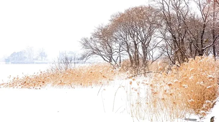 신정호관광지 설경 / 사진=신정호정원