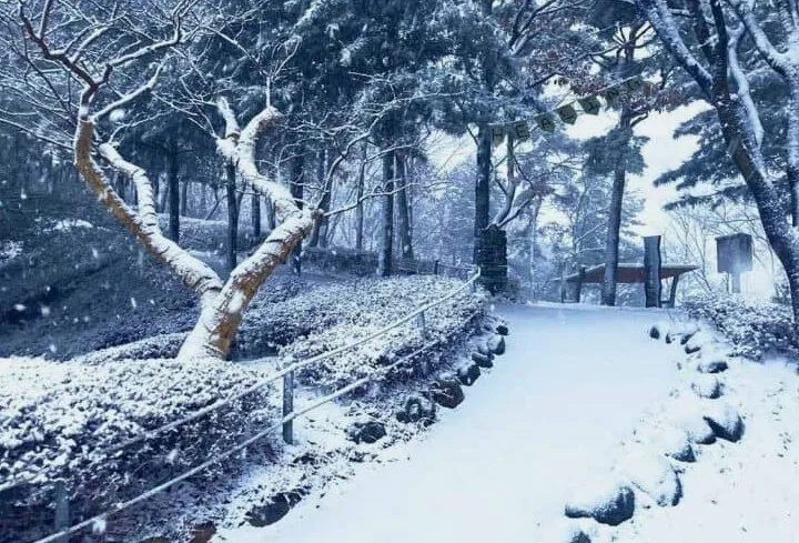 영인산 수목원 설경 / 사진=인스타그램
