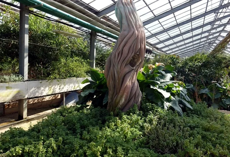 세계꽃식물원 상세이미지6