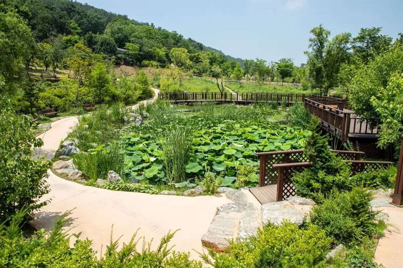 바다향기수목원