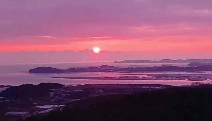 바다향기수목원 일몰 / 사진=경기도