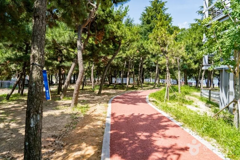 배알도 수변공원