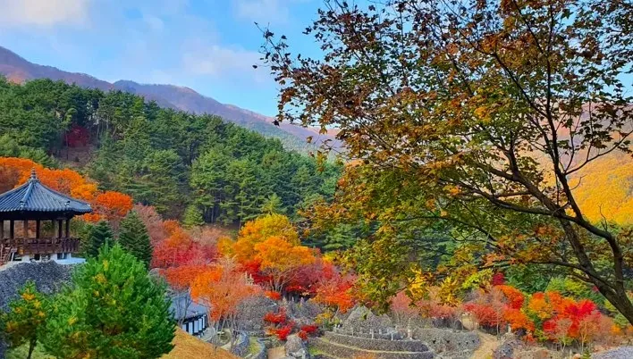 하동 삼성궁 전경 / 사진=하동 공식블로그 한가을