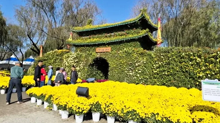 백제고도부여국화축제 풍경 / 사진=부여군