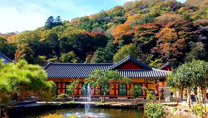 백양사 풍경 / 사진=백양사
