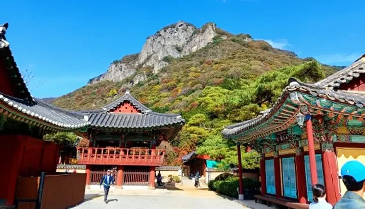 백양사 모습 / 사진=백양사