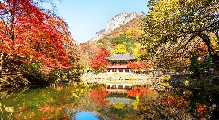 백양사 / 사진=백양사