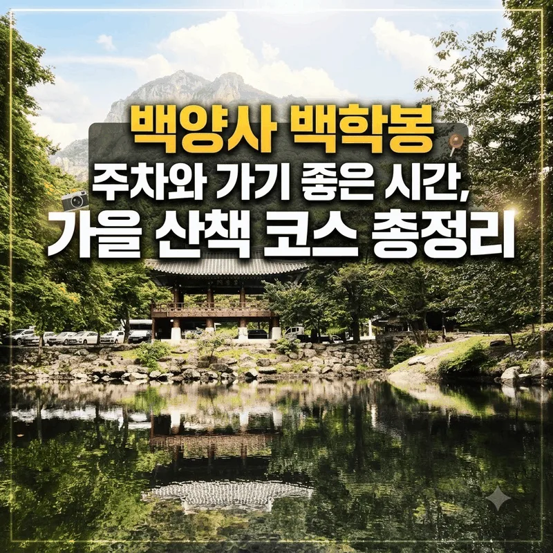 백양사 백학봉 주차와 가기 좋은 시간, 가을 산책 코스 총정리