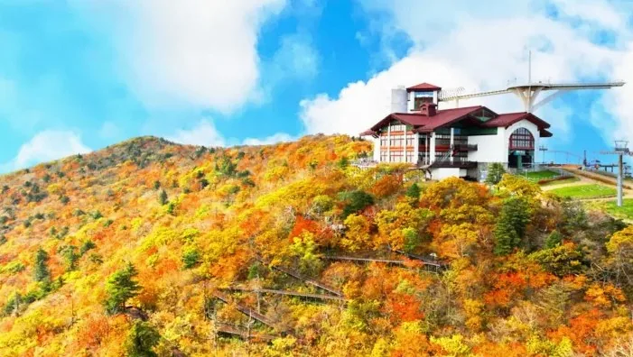 발왕산 기 스카이워크 / 사진=모나용평