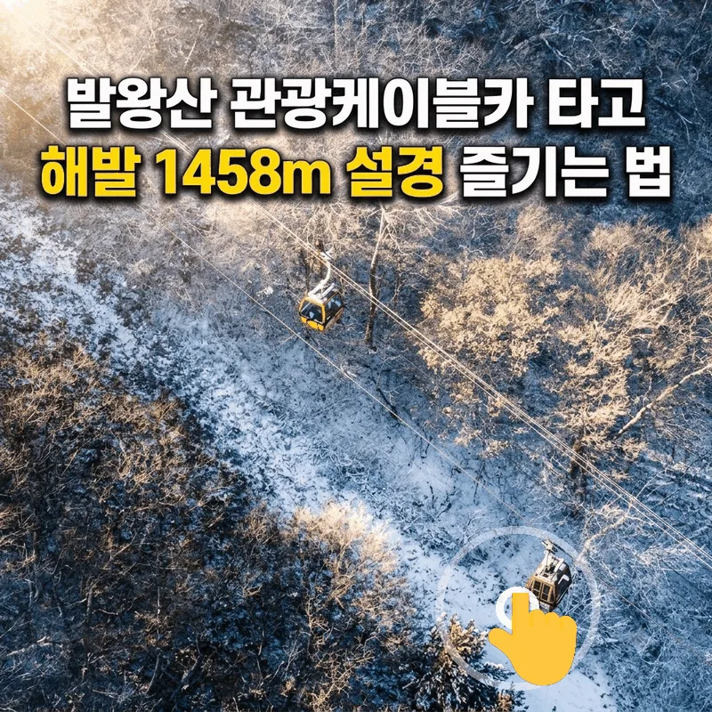 발왕산 관광케이블카 타고 해발 1458m 설경 즐기는 법