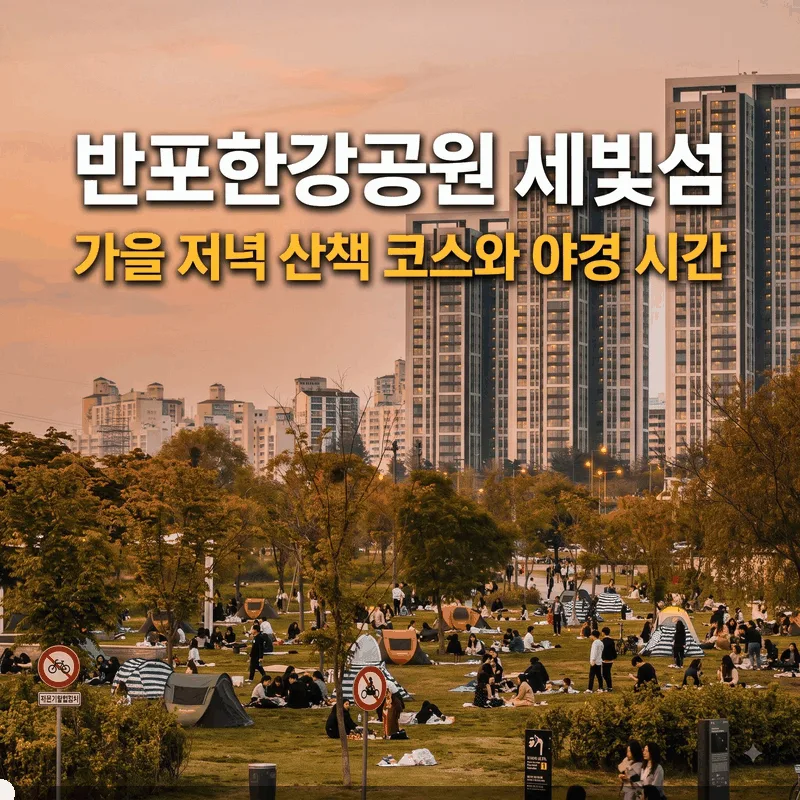 반포한강공원 세빛섬 가을 저녁 산책 코스와 야경 시간
