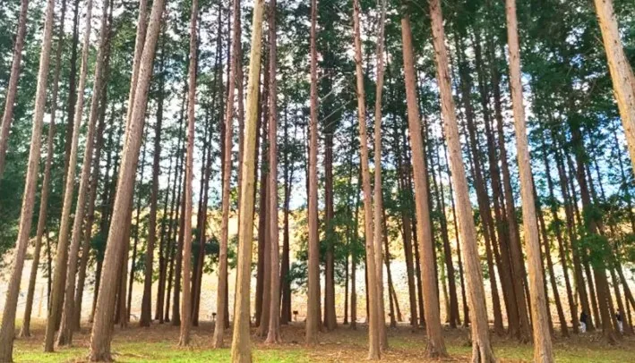 법기수원지 풍경 / 사진=양산시 공식 블로그 황혜진