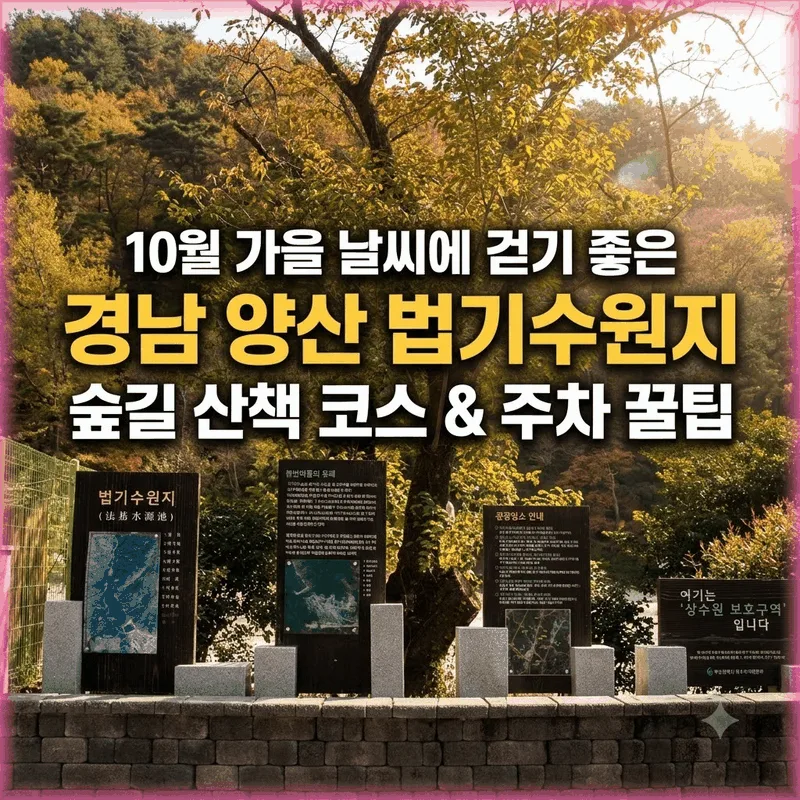 경남 양산 법기수원지, 10월 가을 날씨에 걷기 좋은 숲길 코스와 주차 팁
