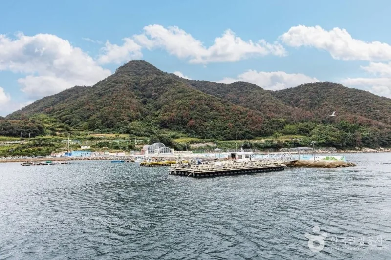 비진도