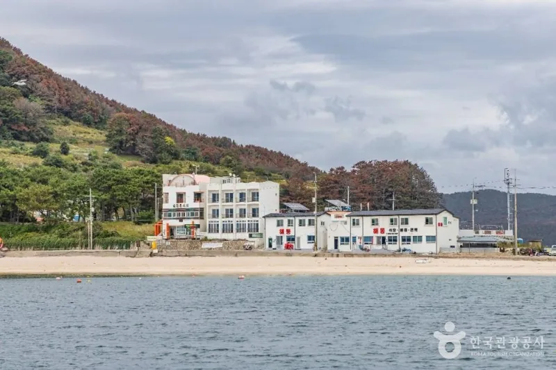 비진도