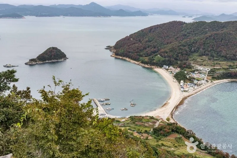 비진도