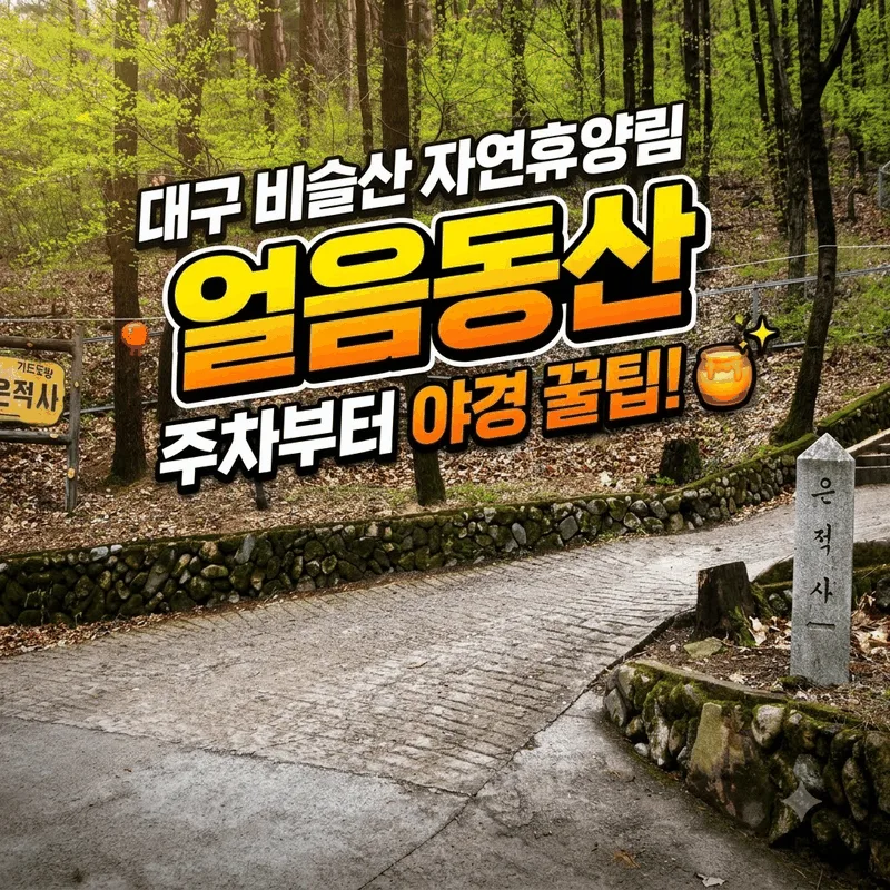대구 비슬산 자연휴양림 얼음동산 주차부터 야경 꿀팁