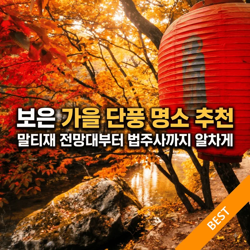 보은 가을 단풍 명소 추천, 말티재 전망대부터 법주사까지 알차게