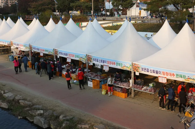 보은 대추축제
