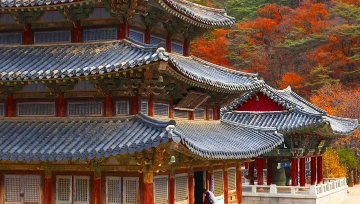 법주사 단풍 풍경 / 사진=게티이미지뱅크