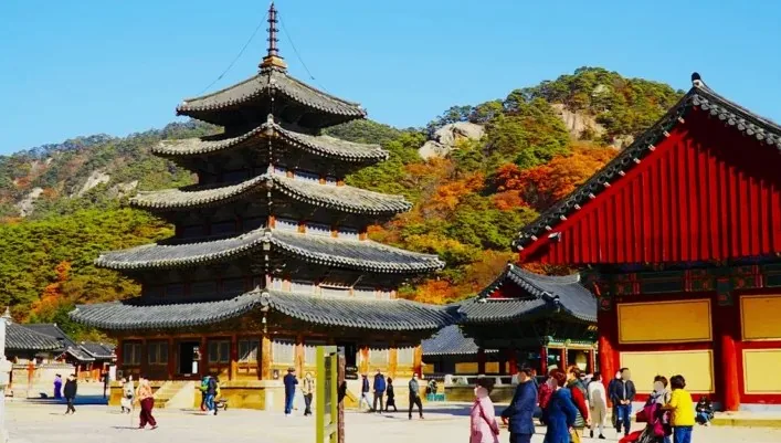법주사 단풍 / 사진=게티이미지뱅크